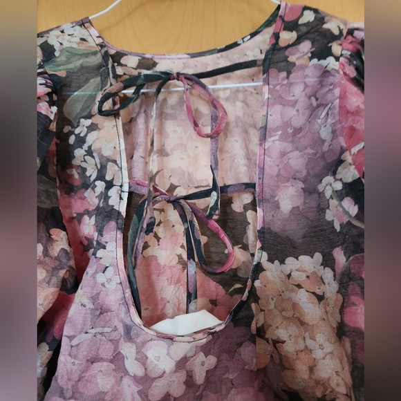 Sheer Hydragraga puff sleeve top - Picture 5 of 6